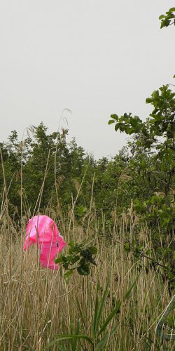 2014 Zachrany raket Jana Míckova